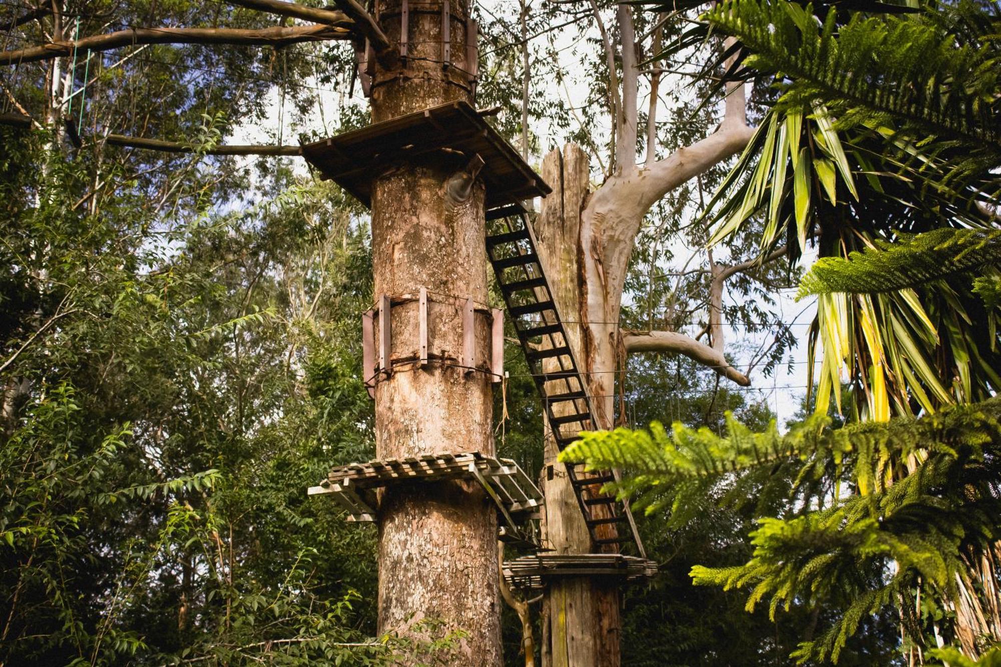 Hotel Fazenda Caledonia Inn Nova Friburgo Buitenkant foto